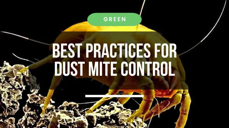 Best Practices for Effective Dust Mite Control